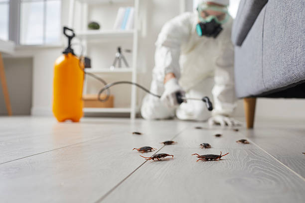 Commercial Kitchen Cockroach Control in Little Ferry
